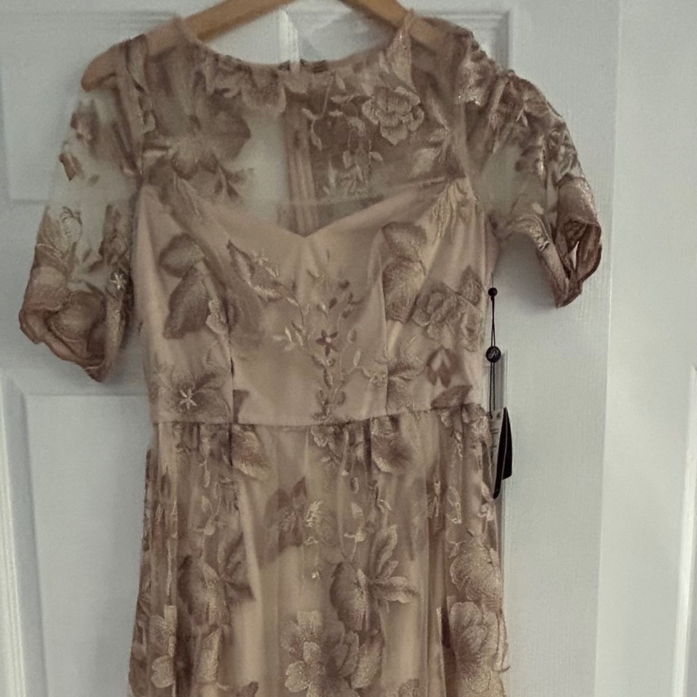 Adrianna Papell Rose Quartz Dress